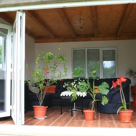 Guest house Busta House Bogdan Voda