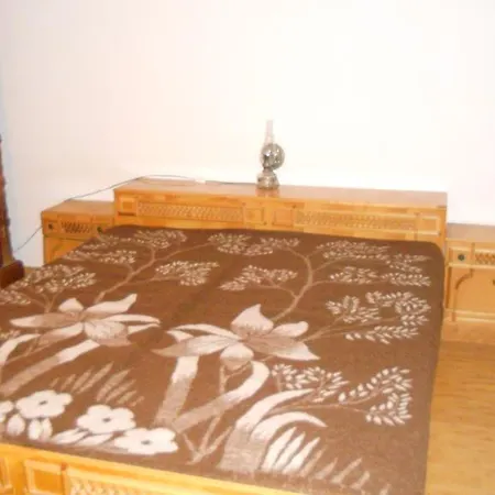 Guest house Busta House Bogdan Voda