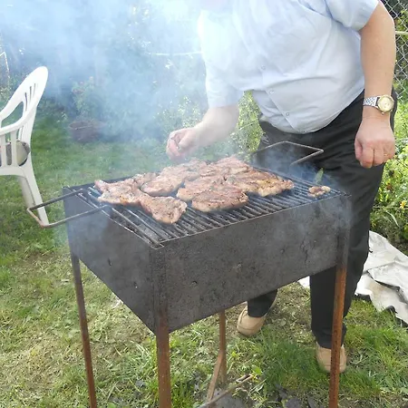 Busta House Bogdan Voda
