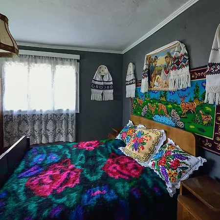 Guest house Busta House Bogdan Voda